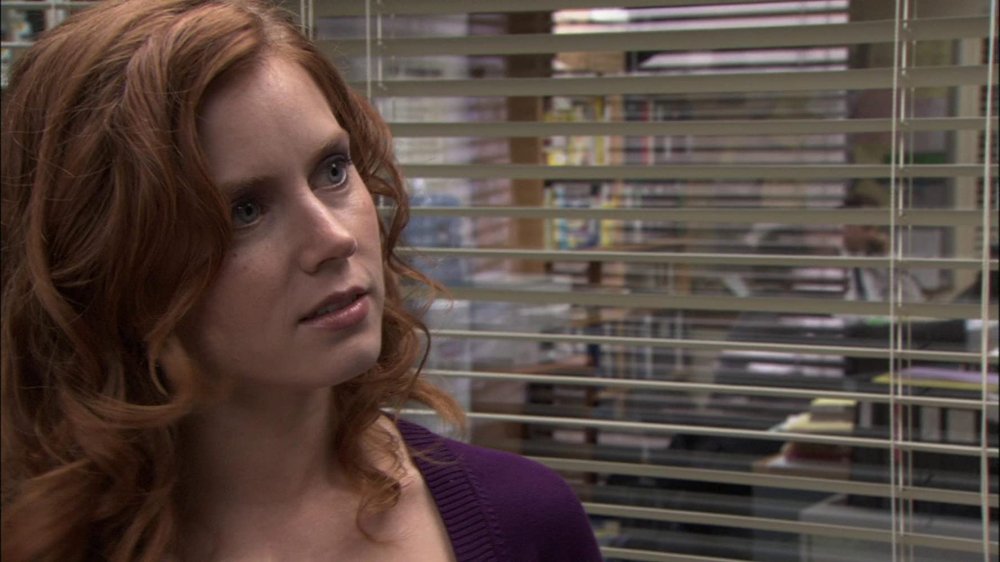 Amy Adams in The Office