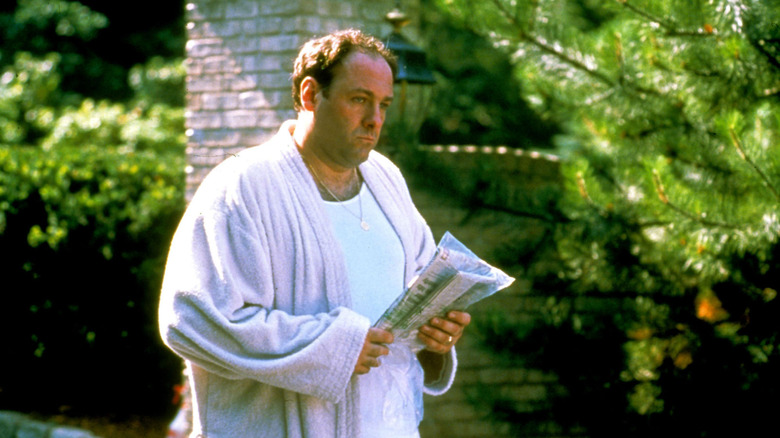 James Gandolfini as Tony Soprano