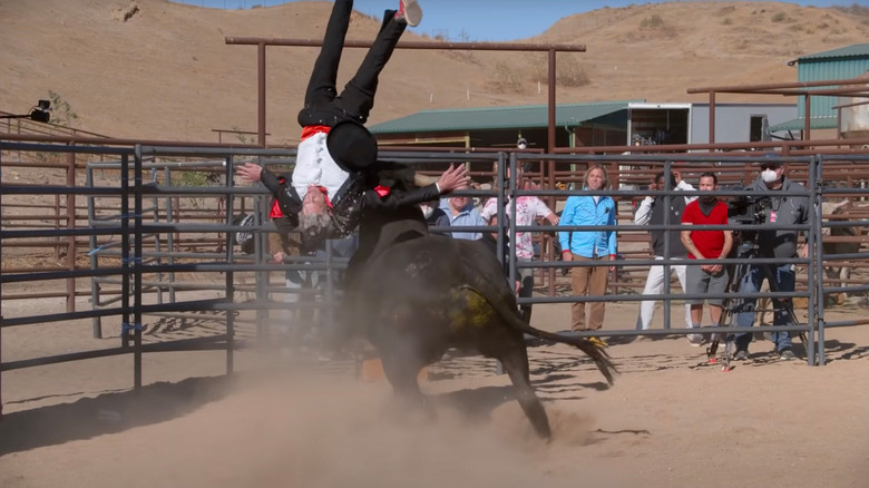 Johnny Knoxville vs the bull