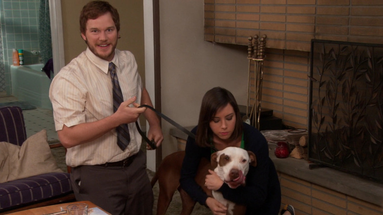 Andy Dwyer April Ludgate Champion dog fireplace