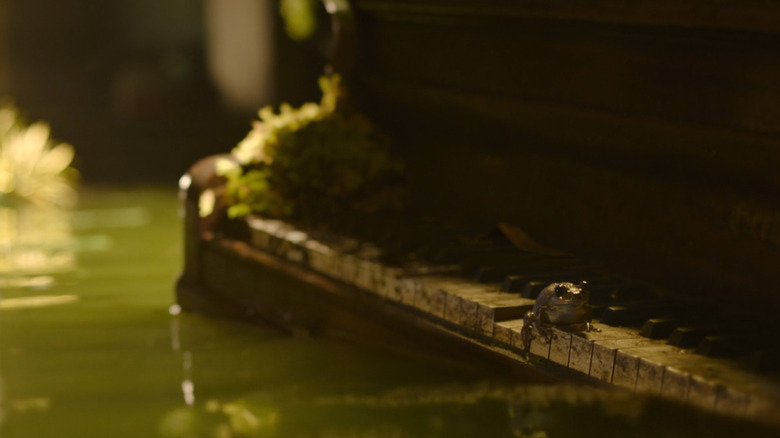 Frog sitting on a piano