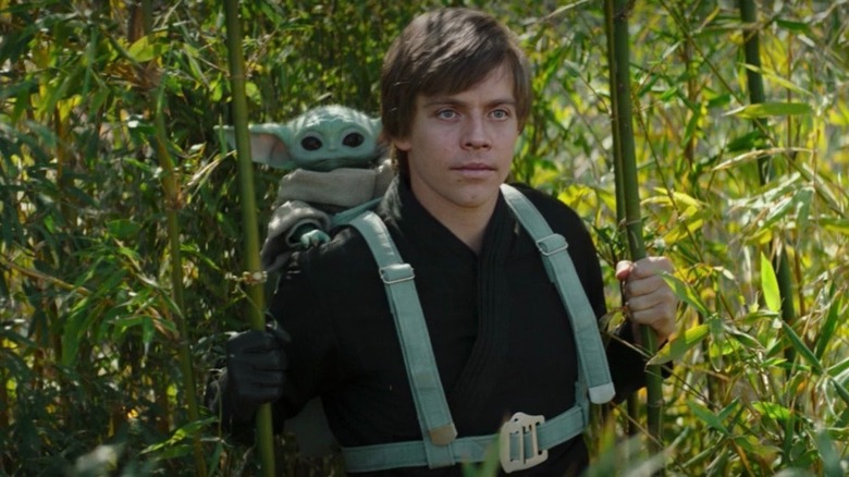 Luke Skywalker in bamboo forest carrying Grogu