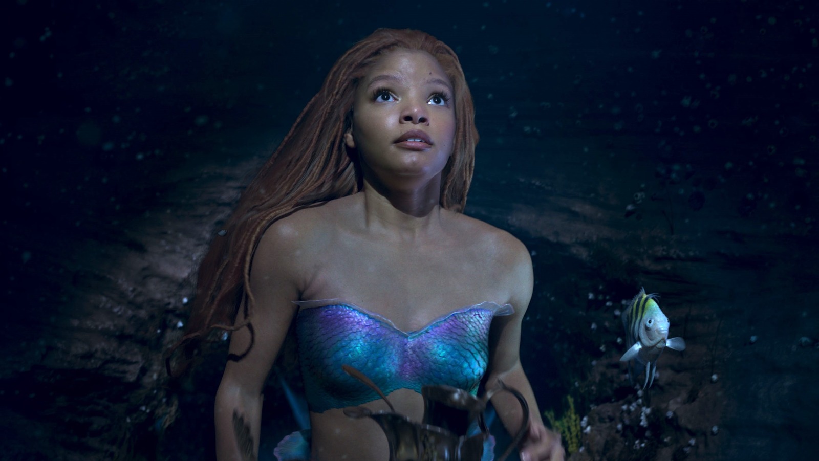 The 'Profound' Reason The Little Mermaid Director Agreed To Do The