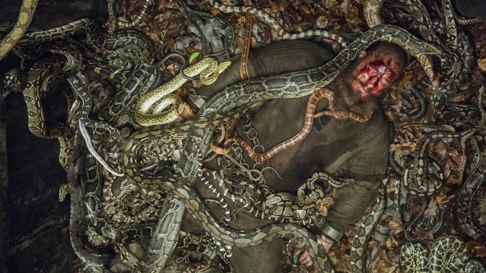 Travis Fimmel as Ragnar and snakes as snakes in Vikings