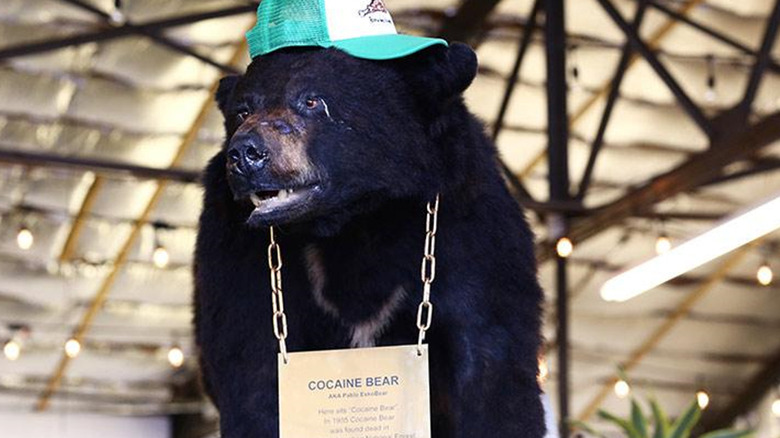 Cocaine Bear Wearing Headphones