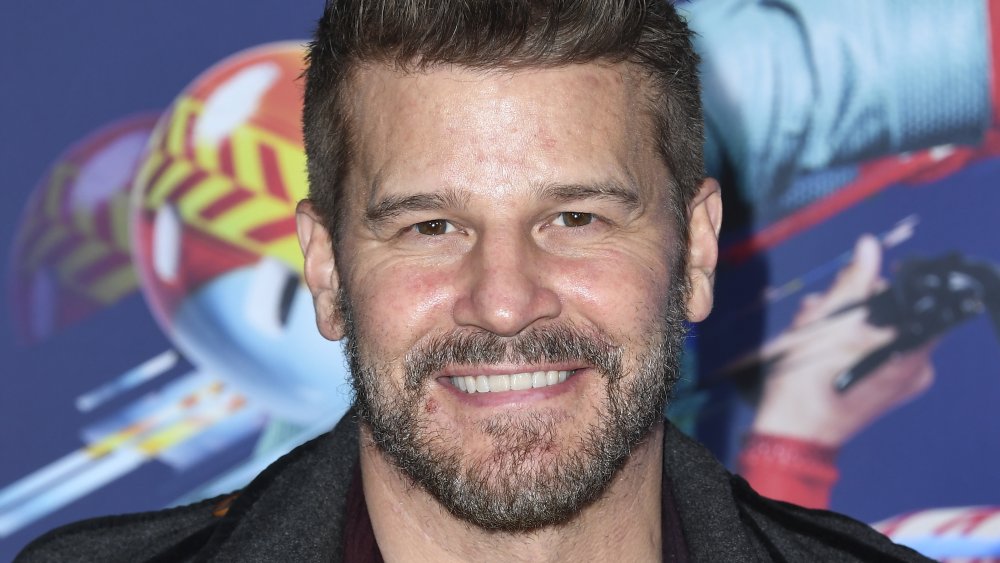 David Boreanaz