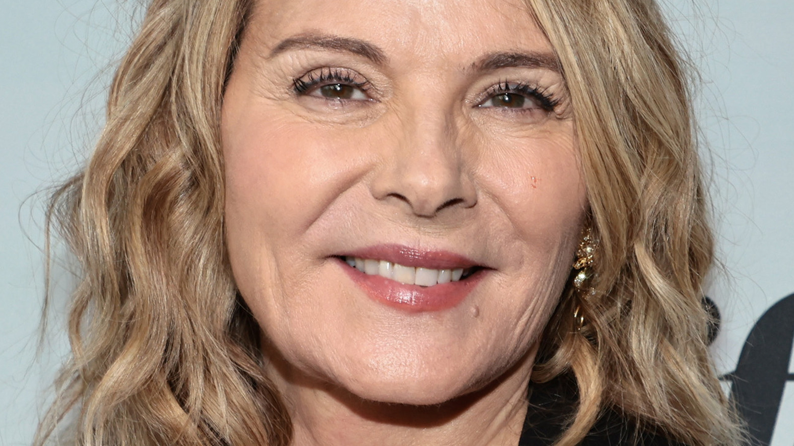 The Real Reason Kim Cattrall Originally Turned Down The Role Of Samantha Three Times 5620