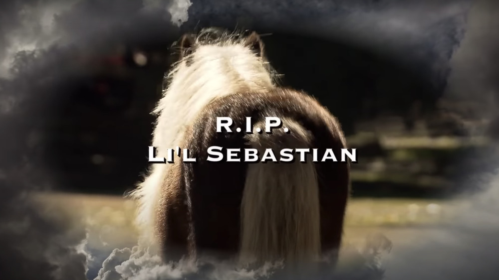 Li'l Sebastian Memorial