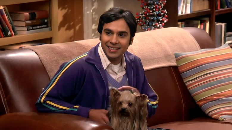 The Real Reason Raj Didn't End Up With Anyone On The Big Bang Theory