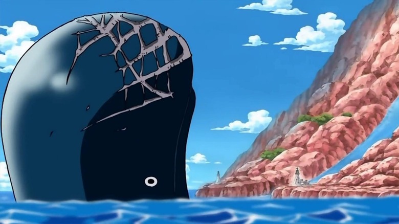 Laboon the whale in the ocean