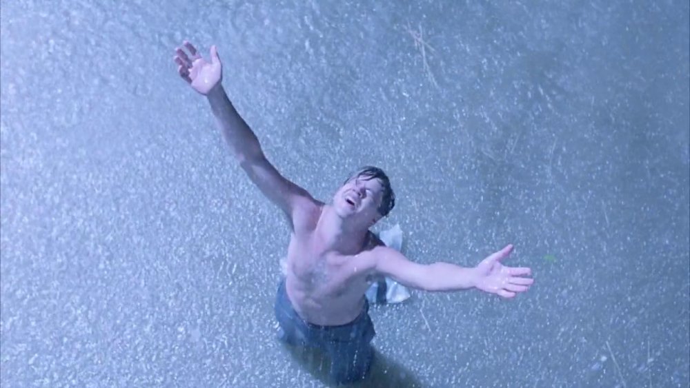 Tim Robbins as Andy Dufresne finally escapes prison in The Shawshank Redemption