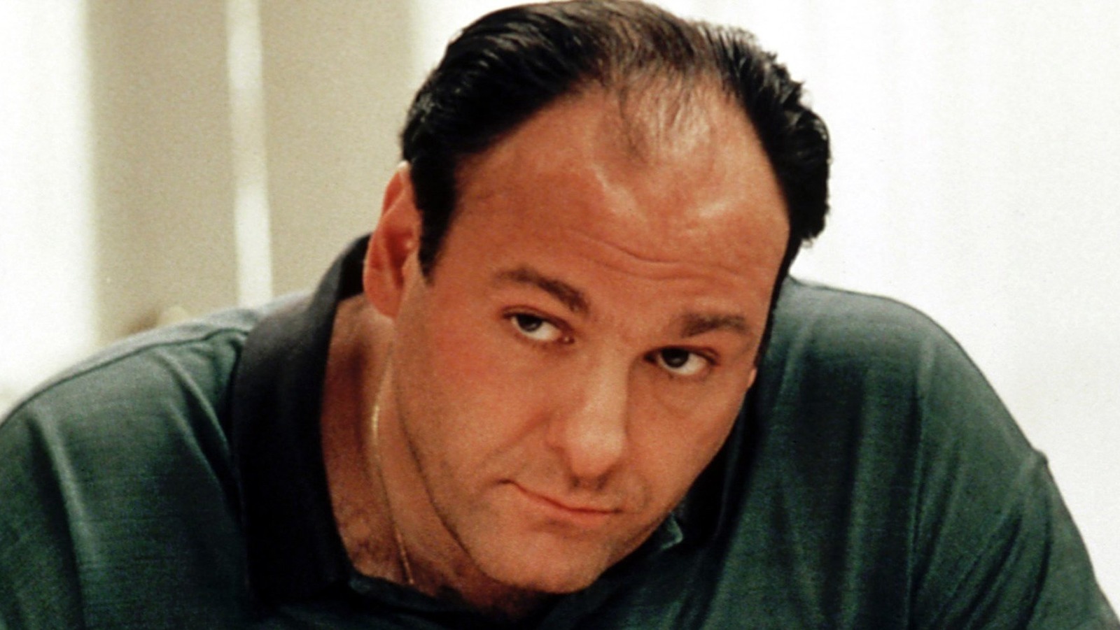 The Real Reason The Sopranos James Gandolfini Sued Hbo