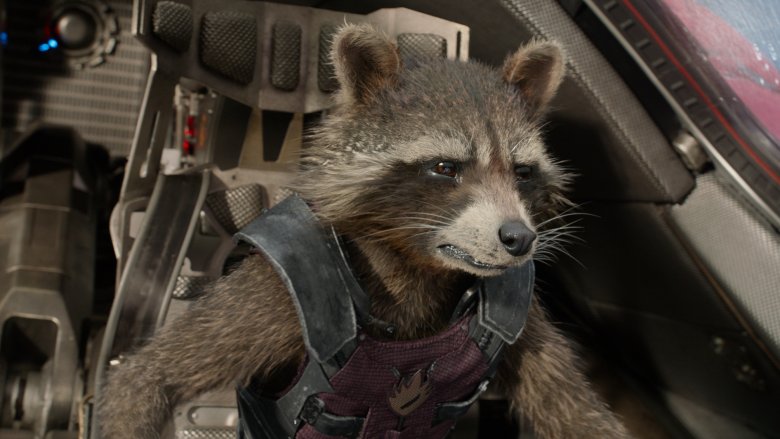 Rocket Raccoon