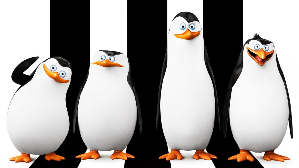 The titular leads of The Penguins of Madagascar