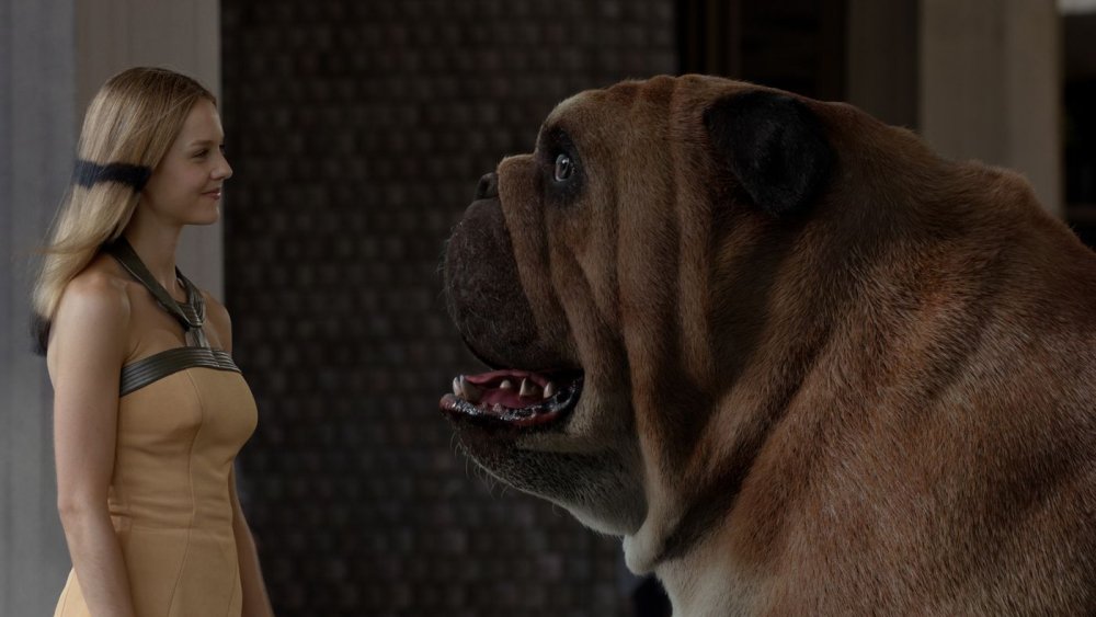 (from left to right) Isabelle Cornish as Crystal and Lockjaw the Bulldog in Inhumans