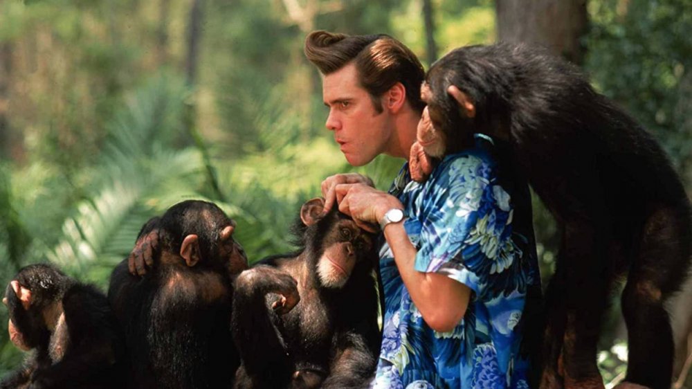 Jim Carrey in Ace Ventura: When Nature Calls