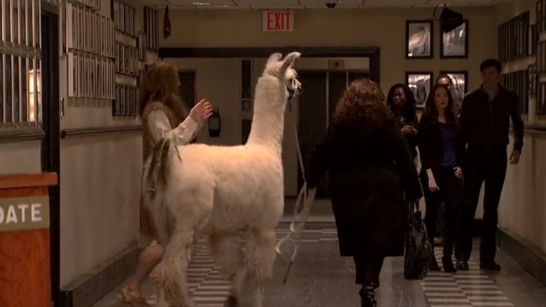 Melissa McCarthy walking with a llama