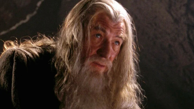 Gandalf in The Fellowship of the Ring