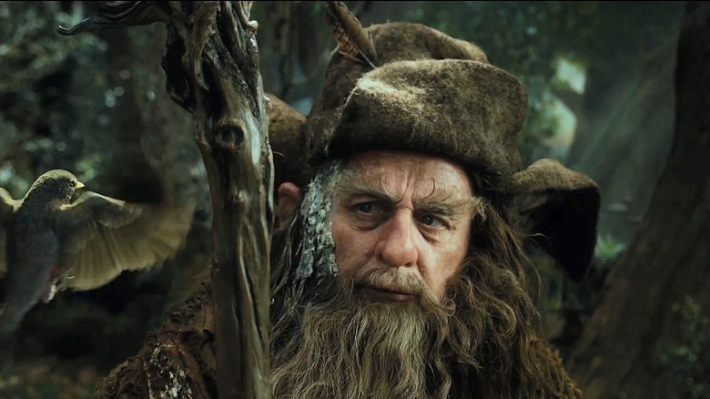 Radagast eyes a bird in "The Hobbit: An Unexpected Journey" (2012)