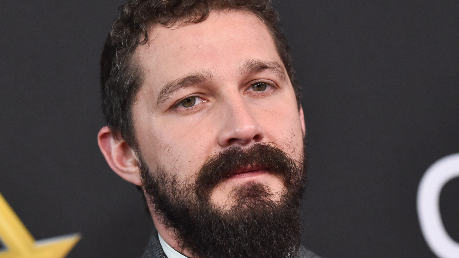 The Role Shia LaBeouf Regrets Taking