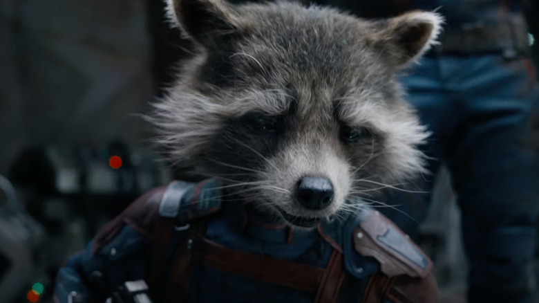 Rocket Raccoon looks sad