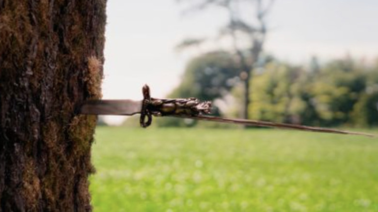 Dagger sticking out of a tree