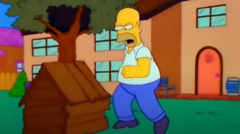 Homer angry in backyard