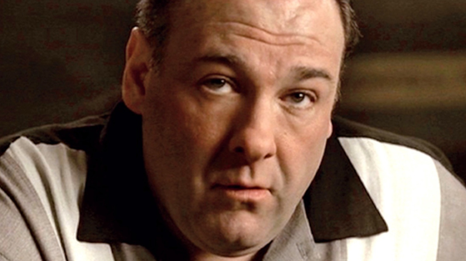 The Sopranos Character Arc That Has Fans Raising Their Eyebrows