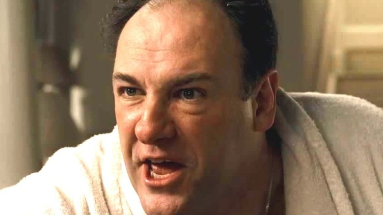 Any angry Tony Soprano yelling in his bathrobe