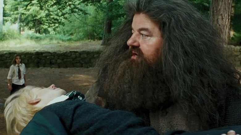 Hagrid carrying Draco