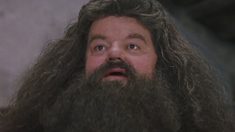 Hagrid with a surprised expression