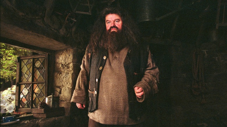 Hagrid in hut