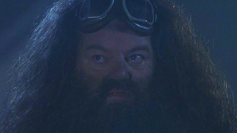 Hagrid wearing goggles