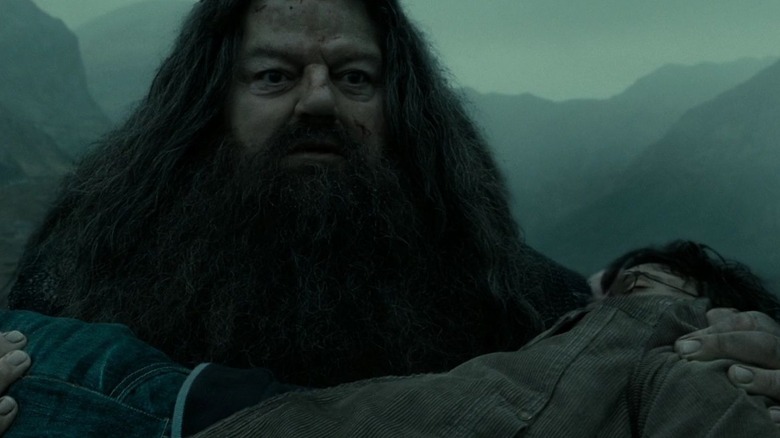 Hagrid sad, holding Harry