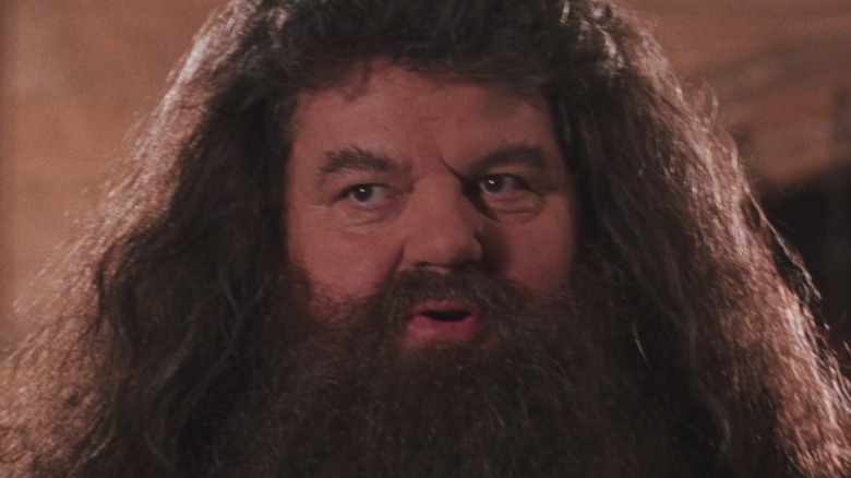 Hagrid with his mouth open