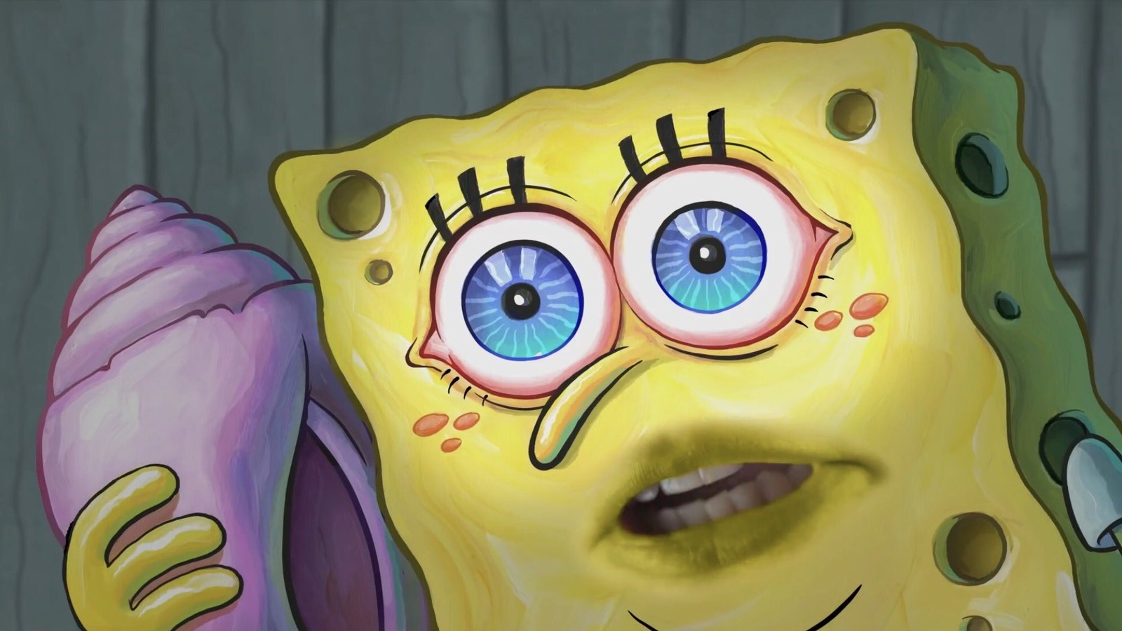 23 SpongeBob Reactions For Everyday Situations  Spongebob faces, Spongebob,  Funny spongebob faces