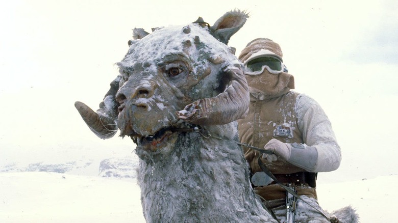 Star Wars: Episode V – The Empire Strikes Back Tauntaun