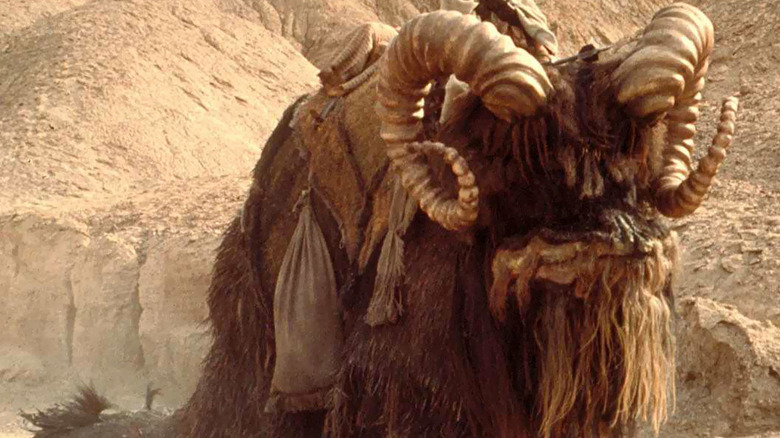 Star Wars: Episode IV – A New Hope Bantha