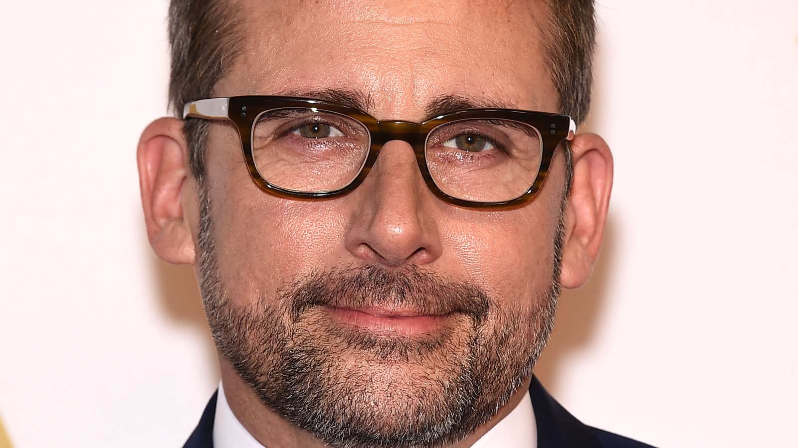 The Steve Carell McDonald's Commercial You Existed