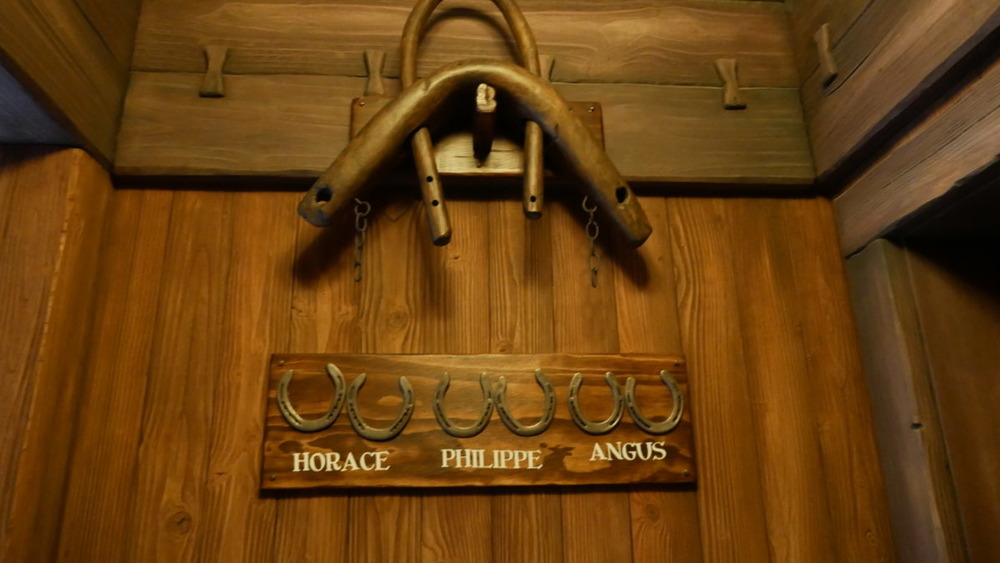 Disneyland bathroom horseshoes