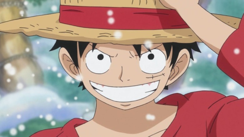 Monkey D. Luffy holding his hat