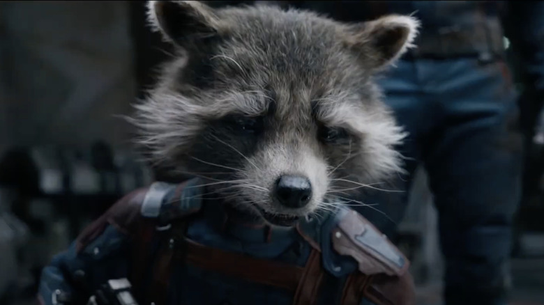 Rocket in Guardians of the Galaxy Vol. 3