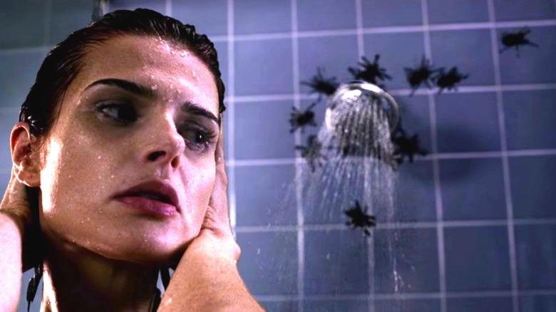 Spiders coming through the shower