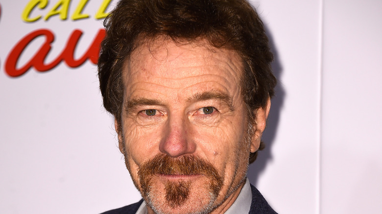 Bryan Cranston looking pleased