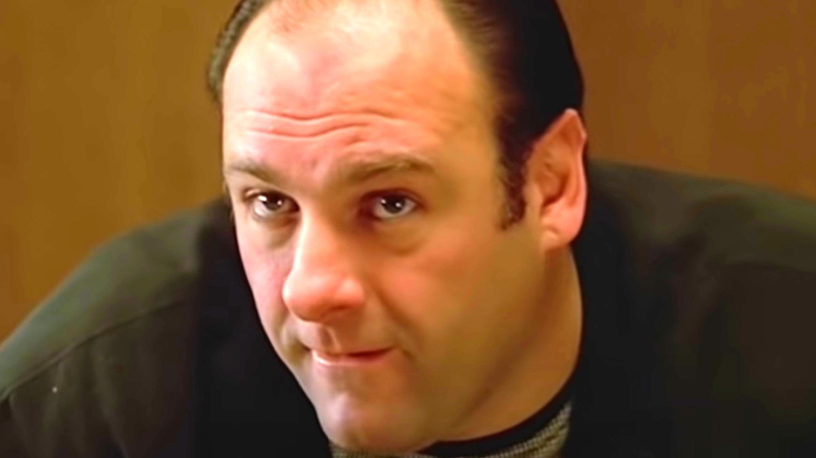 the-surprising-sopranos-character-based-on-the-actor-s-real-life