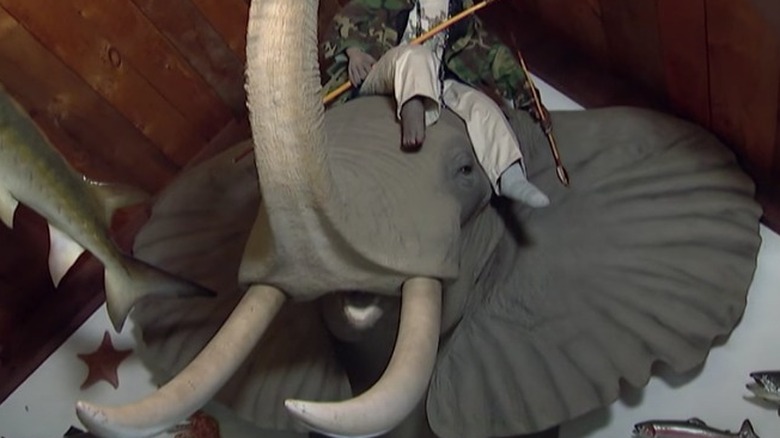 Taxidermied elephant head