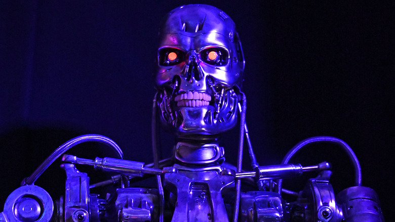 The Terminator endoskeleton