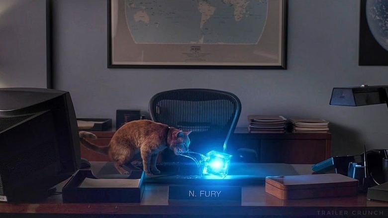 Goose vomits the Tesseract onto Nick Fury's desk in "Captain Marvel" (2019)