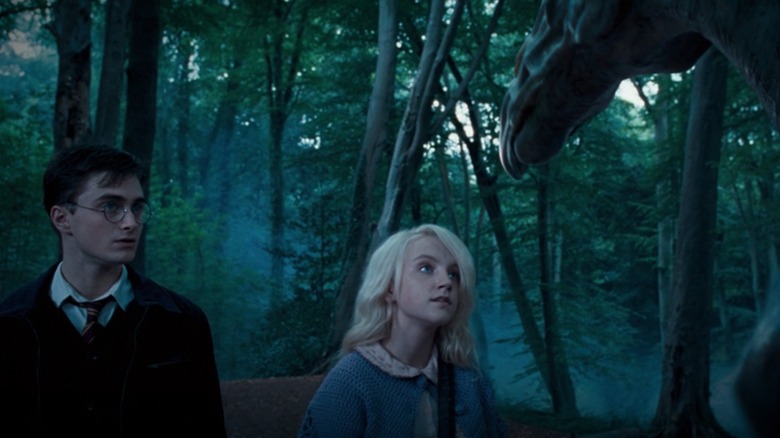 Harry and Luna see thestral