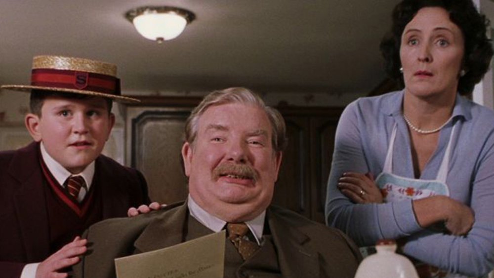 The Dursleys in Harry Potter